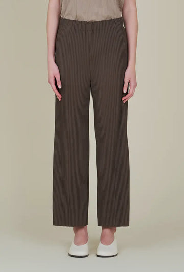 Pleated Pants- Umber